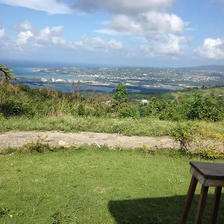 Lionsviwesjamaica