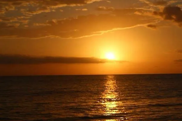 Lionsviwesjamaica Montego Bay