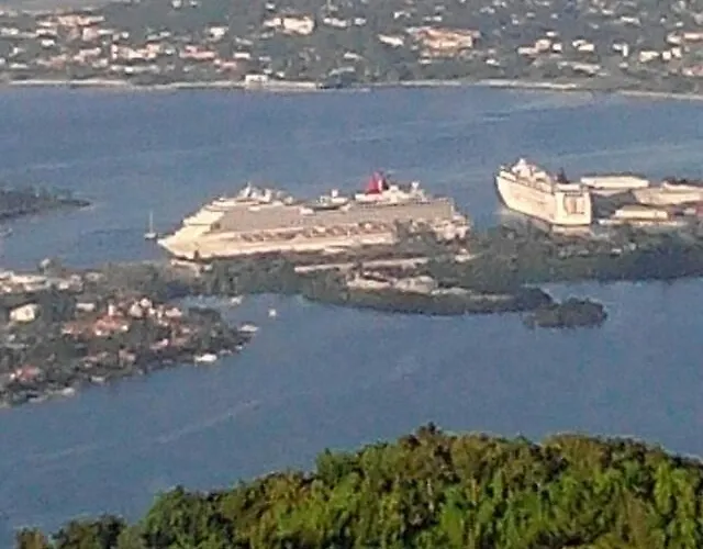 Lionsviwesjamaica
