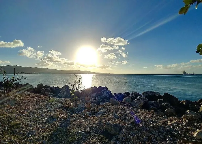 Lionsviwesjamaica * Montego Bay