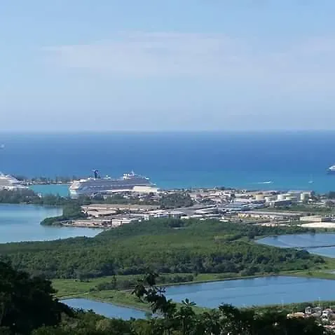 Lionsviwesjamaica Pensión